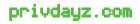 privdayz shell logo